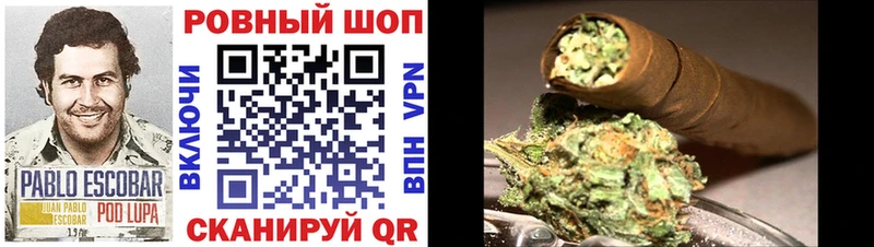  COCAIN Голицыно