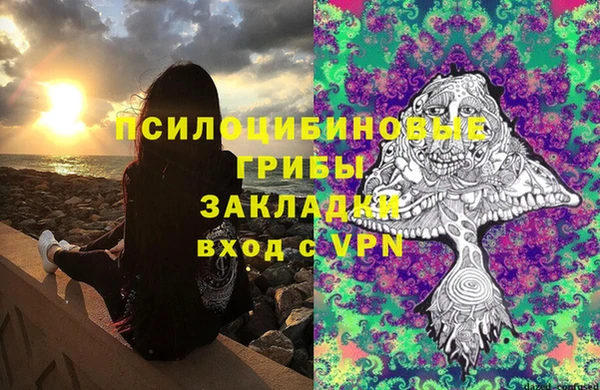 2c-b Богданович