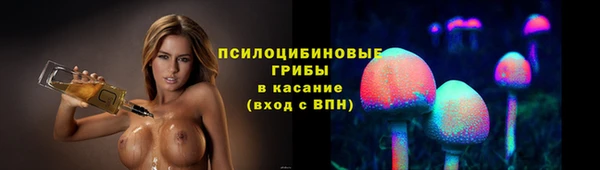 хмурый Арсеньев