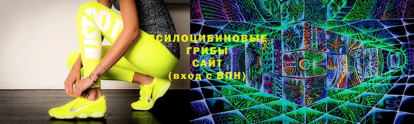 крисы Армянск